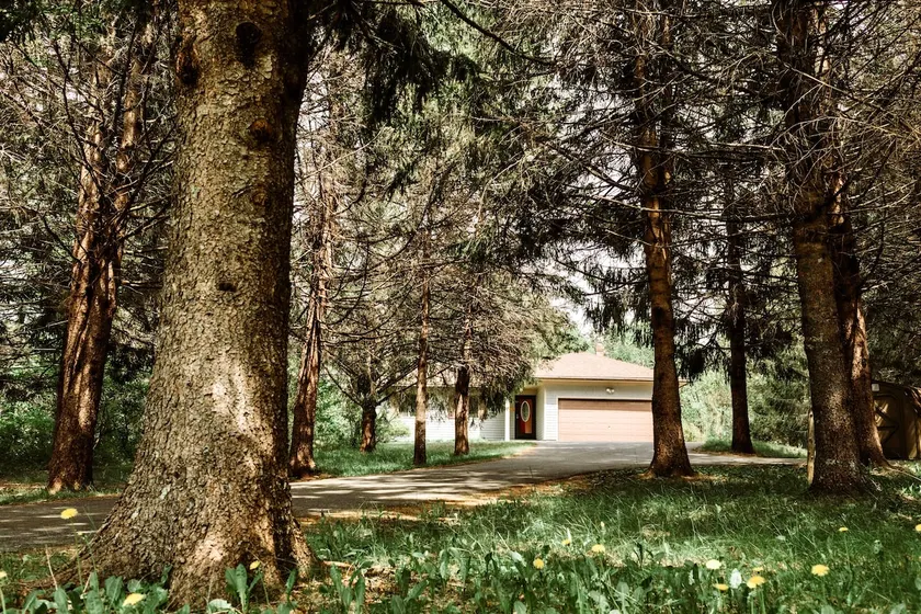 Peaceful Private 3BR House Near Acadia + Huge Yard - Image 1