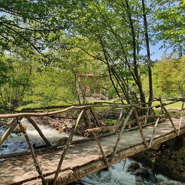A Unique Experience at an Airbnb Favorite. - Image 1