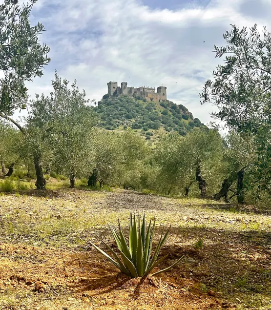 Casa Caraza: A private property at the foot of the castle - Image 1