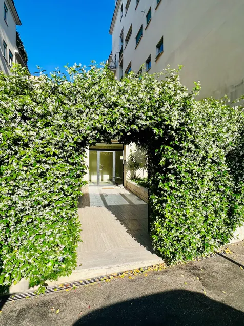 Elegant apartment Villa Bianca - Image 1