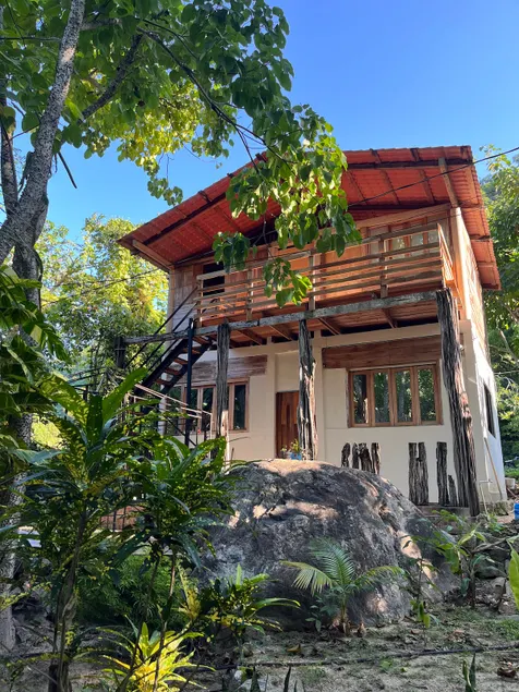 Tree house - Image 1