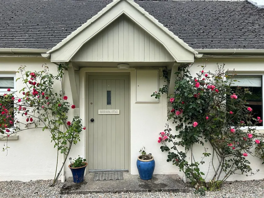 Favour Royal Cottage - dog friendly forest escape - Image 1