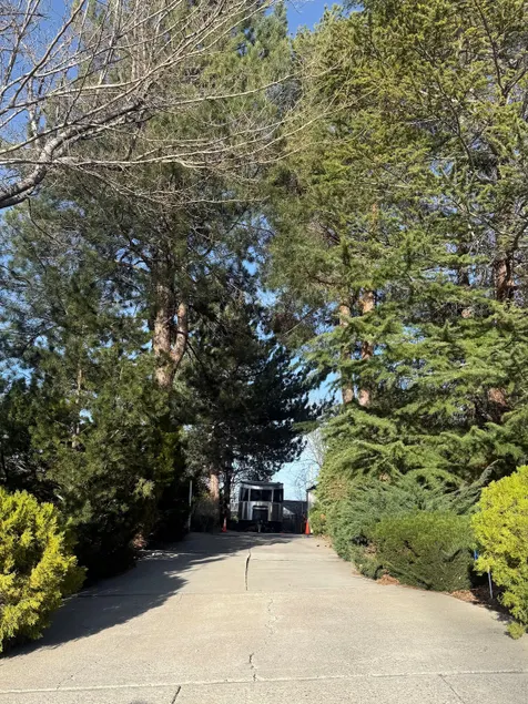 The Foley Nest - Image 1