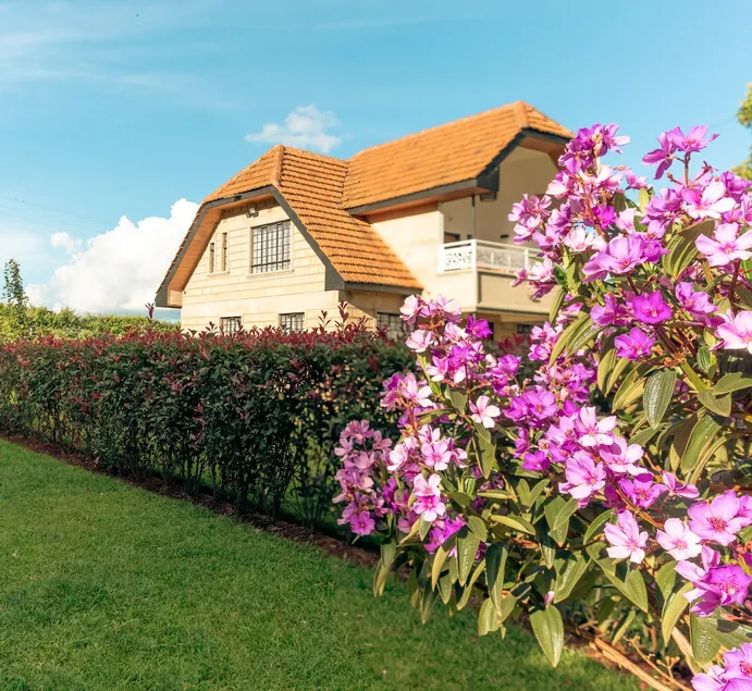 Villa Africana, Modern & Serene with Tea Views - Image 1
