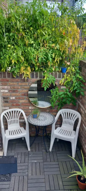 Cozy private 50 m² apartment - Image 1