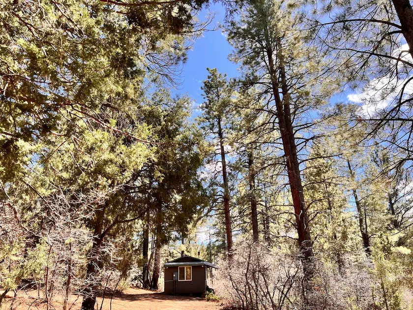 Zion Pines Cabin - Rustic Getaway - Image 1