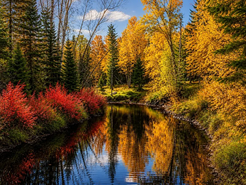 25% OFF*Riverfront*Lake Of The Woods 2mi*Pets Free - Image 1