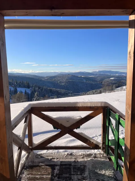 The Skier's House in Apuseni TinyHouse - Image 1