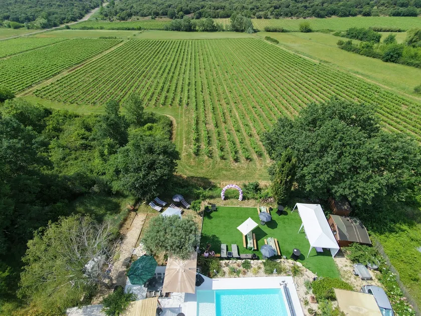 Gîte among the vineyards - Image 1