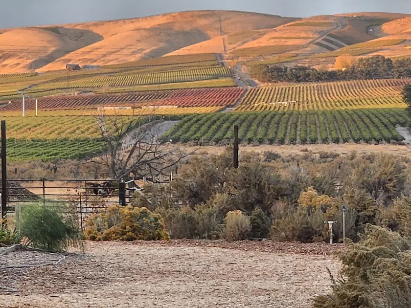 Cozy Stay - Benton City Wine Country - Image 1