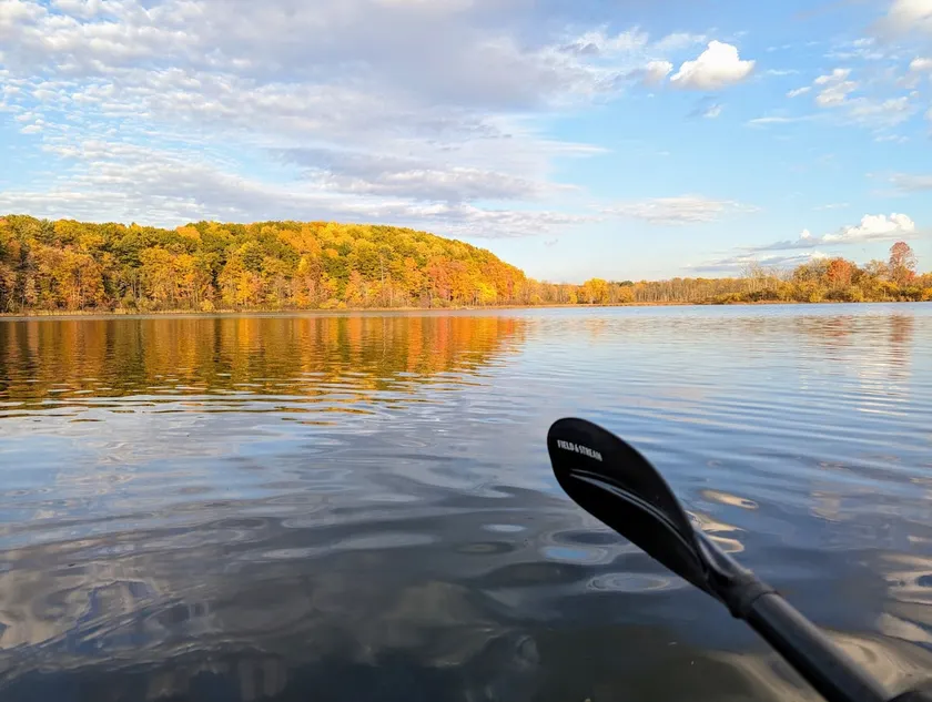 Tranquil Waters - Image 1