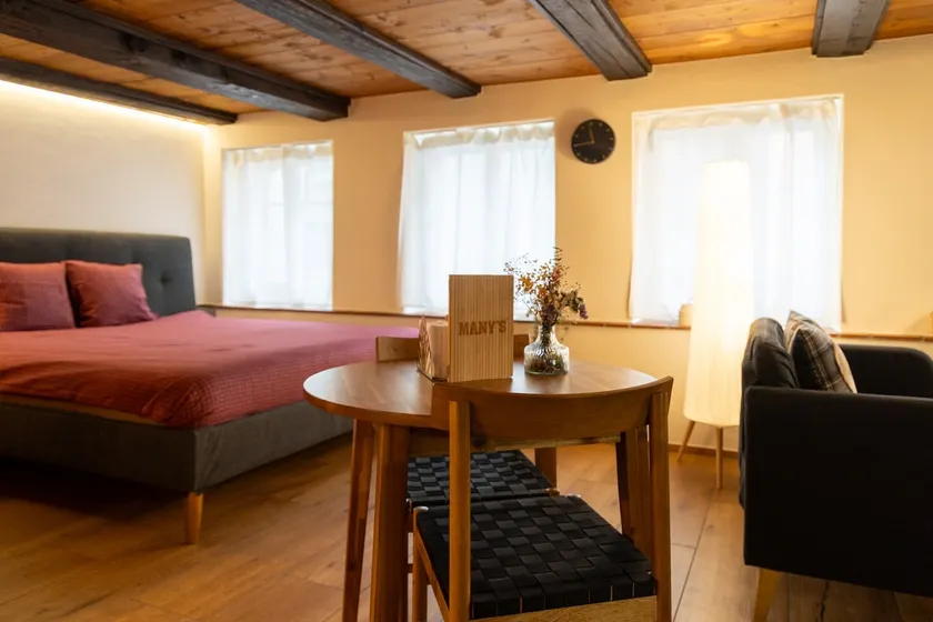Rustic & historic renovated city apartment - Image 1