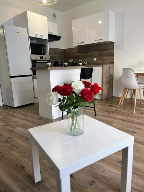 Bright apartment near metro – Paris 10 min - Image 1