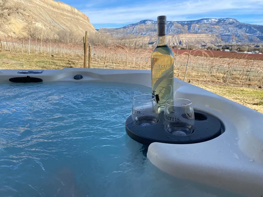 Palisade Vineyard Paradise! - Image 1