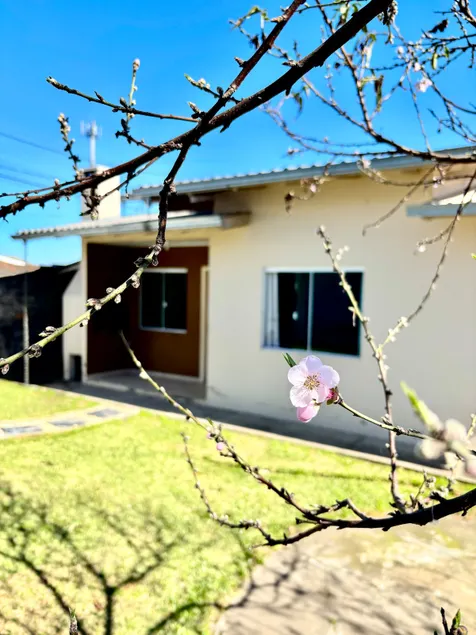 Cozy Home in Lages Near Shopping & Festival - Image 1