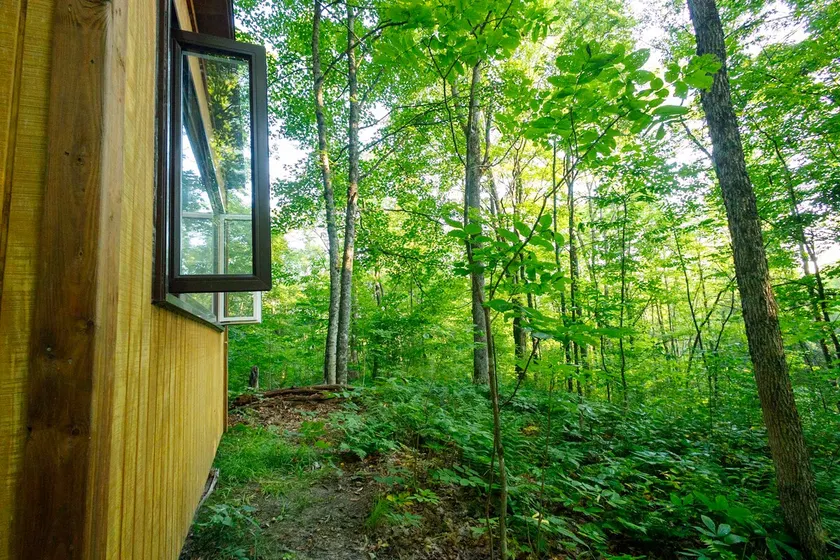 Dream Den Bunkie Escape with River & Creek access - Image 1