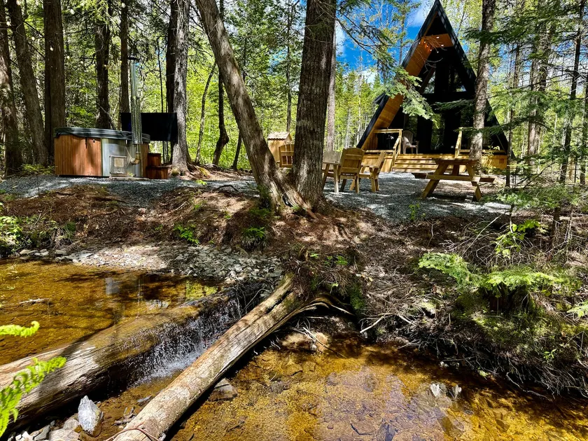 The Oasis of the Trees - Image 1