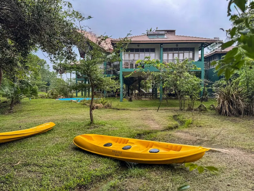 Wild Ele 243 Wilpattu - Image 1