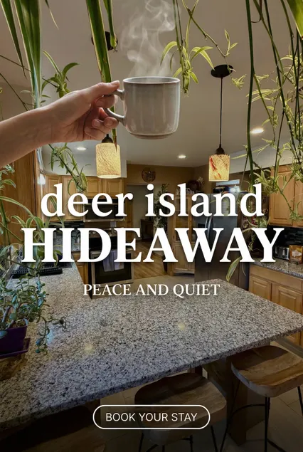 Entire Cabin Deerisland Hideaway - Image 1