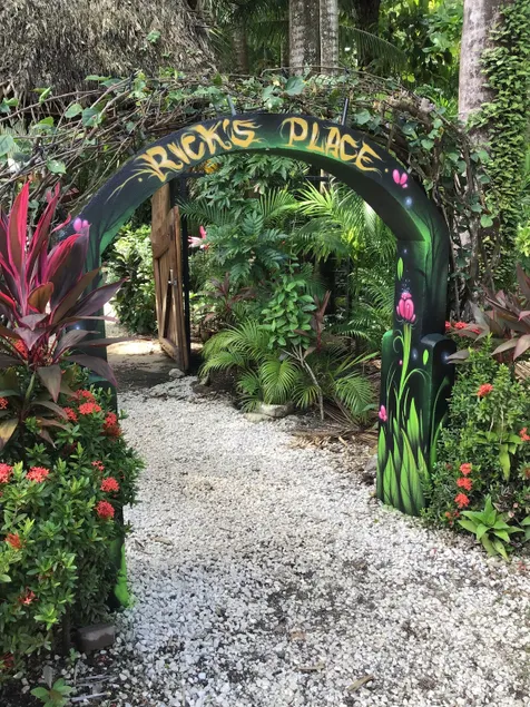 Rick's house in Playa Guiones steps from the beach - Image 1