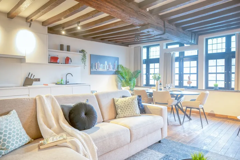 Stunning 2-BR Apt in Ghent - Image 1