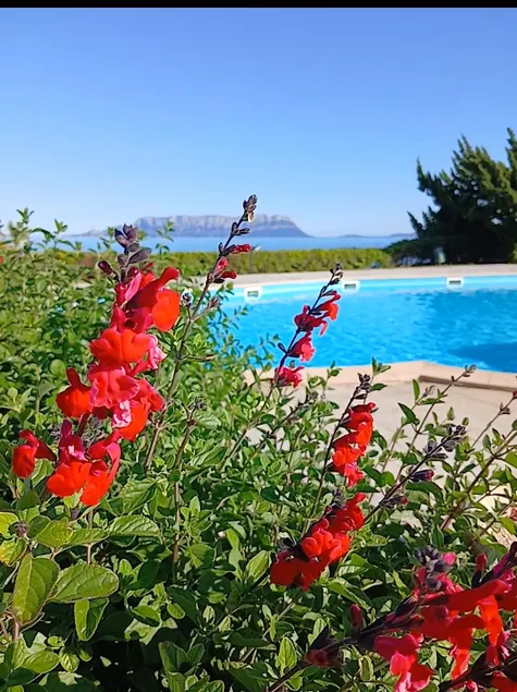 Seaside villa with a pool, 100m from the seaside - Image 1