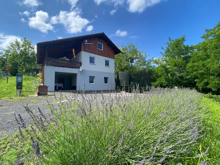 Ginkgo House - Image 1