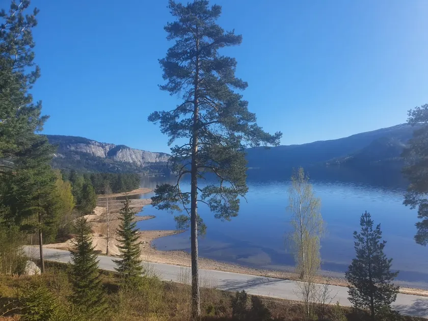 Family cabin with stunning views of the lake - Image 1