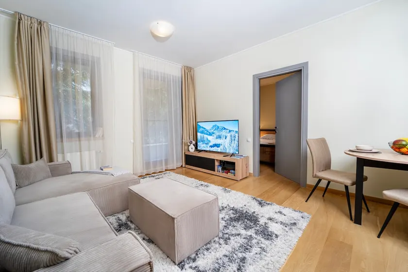 Large One Bedroom Flat - Mountain Bliss - Image 1
