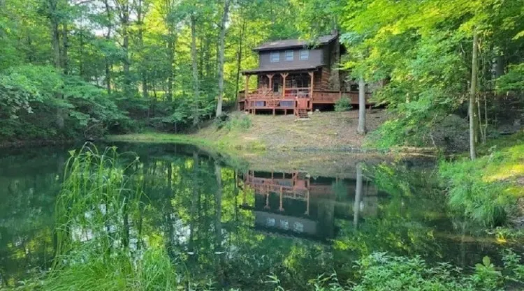 Bird Song Cabin - Image 1