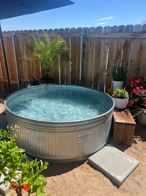 Cowboy pool at the Cactus house - Image 1