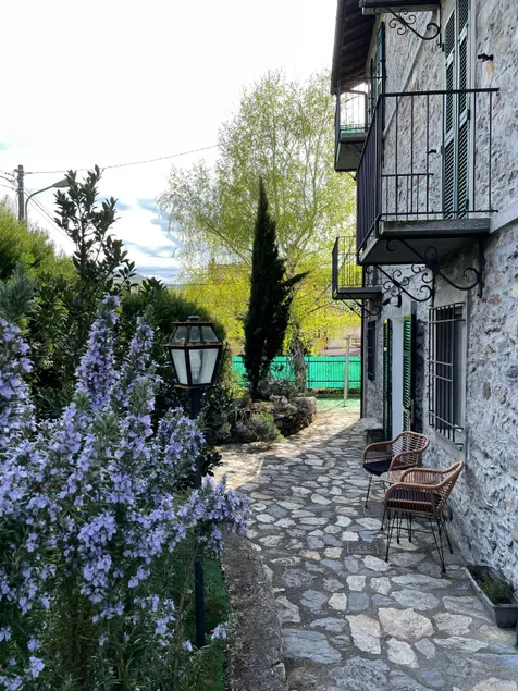 Crosa Rosella - Image 1