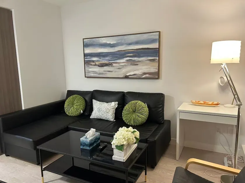 Brand new luxury apartment - Image 1