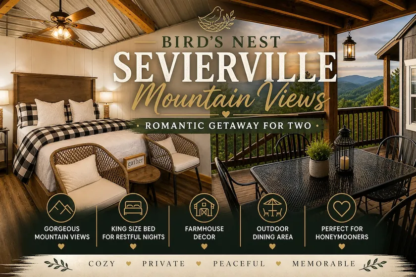 Bird's Nest-VIEWS & Easy drive to Pigeon Forge - Image 1