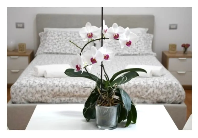 Terrazza apartment - Image 1