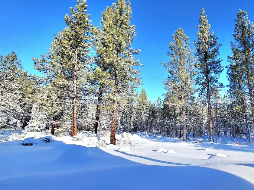 2.5 Acres Deschutes forest home 7 BR/5 BATH/4 king - Image 1