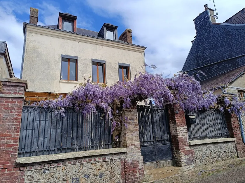 Glycine cottage in the Seine - Image 1