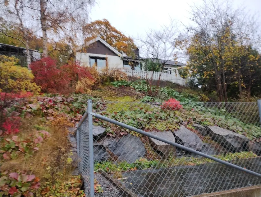 Reasonable house, free parking and many amenities - Image 1