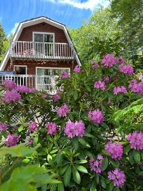 Cute lakefront cottage - Image 1
