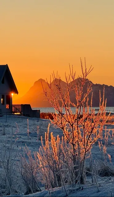 Large family cabin near the lake in Vestfjord Panorama - Image 1