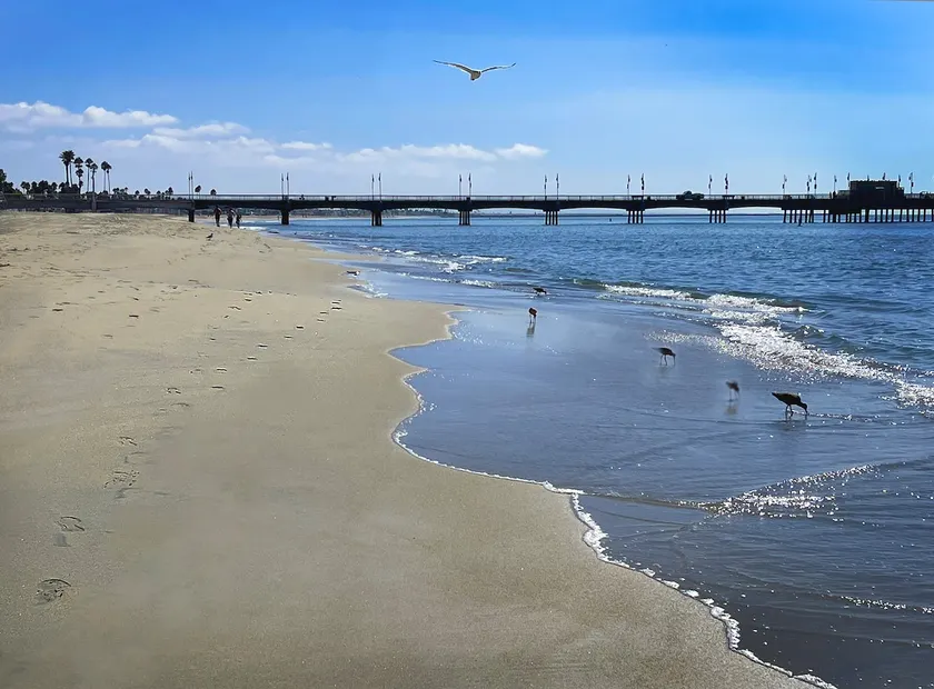 Ocean View of Long Beach Harbor - Image 1