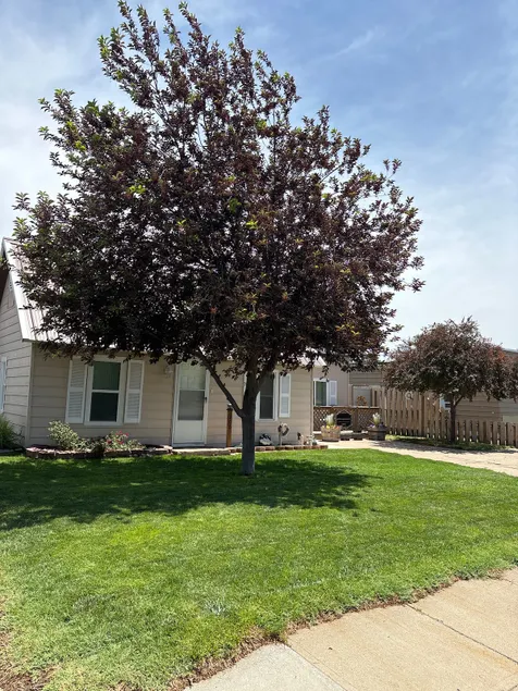 Bettie's Bungalow - Image 1