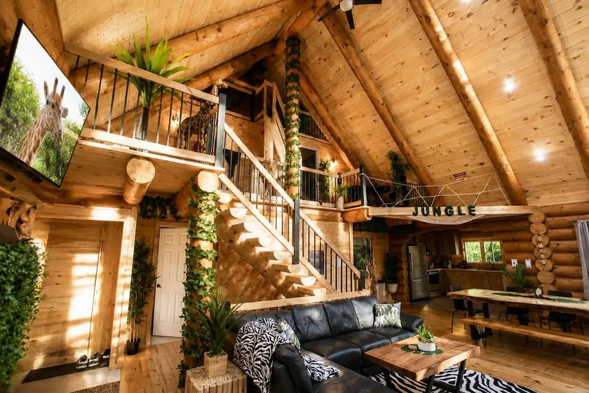 Welcome to the JUNGLE - Log cabine - SPA - Image 1