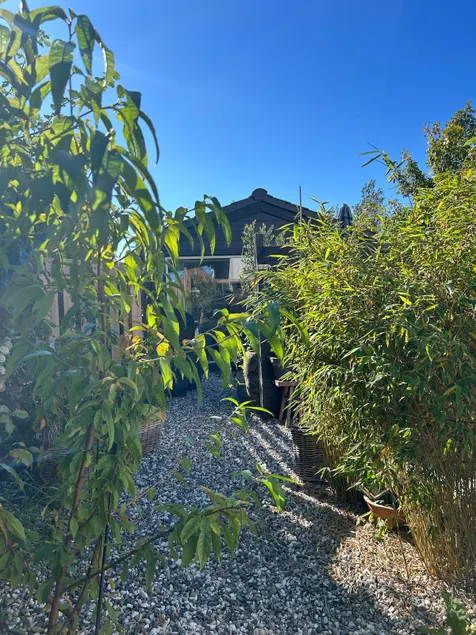 Guest house with courtyard near beach & jetty. - Image 1