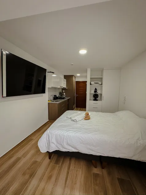 Private suite on the Costanera 609 - Image 1