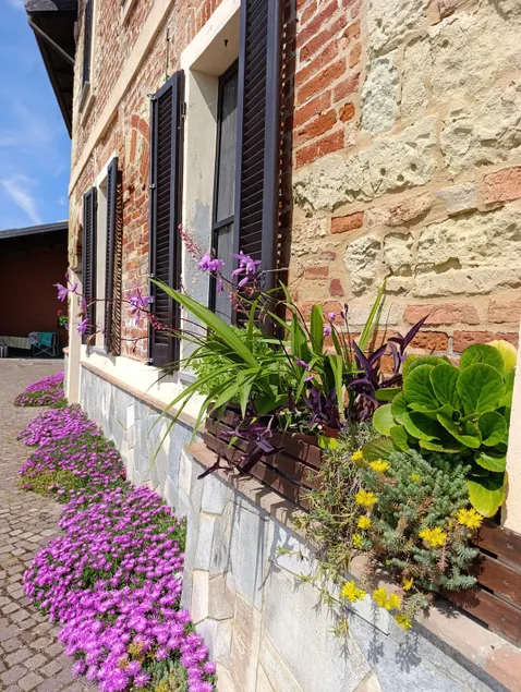 Experience Monferrato between taste and relaxation - Image 1
