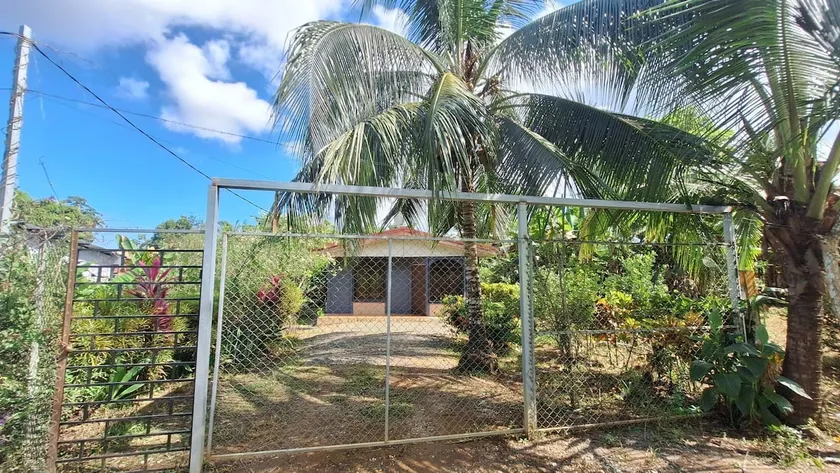 Casa Palmera - Image 1