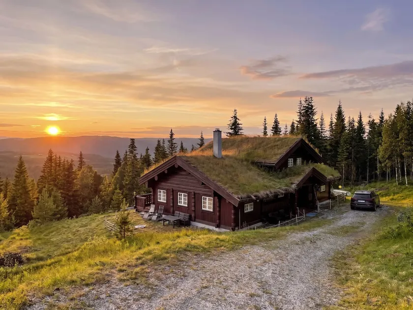 Spacious family cabin at Nesfjellet with views - Image 1