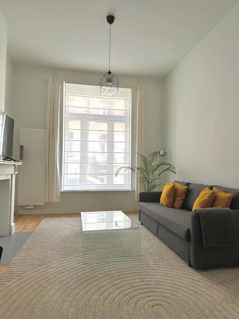 Charming one bedroom apartment in Ixelles - Image 1