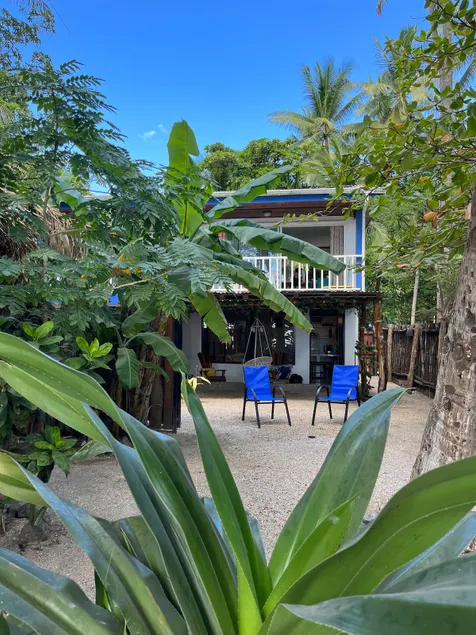 Beach and crabs at the door - Image 1